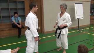 Seminar INOUE YOSHIMI  Street Fight Bunkai amp The Real Meaning of Kata [upl. by Dhiman]