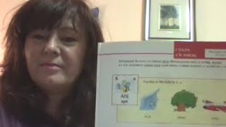 CORSO DI LINGUA ITALIANA المدرسة الايطاليةLezione n 1 ALFABETO ITALIANO susyschannel5593 [upl. by Sola46]