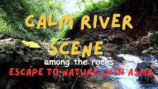 Calm River Scene among the rocks  Escape to Nature with ASMR [upl. by Maurise]