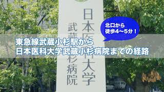 経路動画 日本医科大学武蔵小杉病院 [upl. by Orvas713]