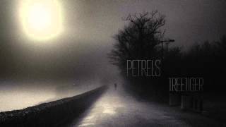 Petrels — Treetiger [upl. by Yasu648]