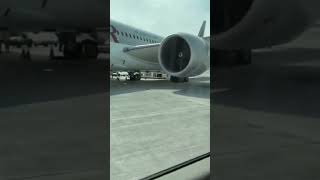 Qatar Airways Boeing 7878 Dreamliner boeing qatar qatarairways doha shorts youtubeshorts [upl. by Sellihca]