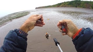 3 Days Fishing on the Beach  Big Eels Rigs Tips and Tactics NIGHT FISHING [upl. by Olivann]