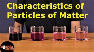 Matter in Our Surroundings  Characteristics of Particles of Matter [upl. by Anitsua]