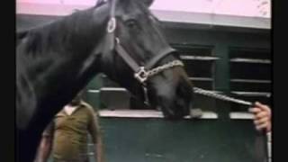 Remembering Ruffian Part 3 The Legend Remembered [upl. by Maribel]