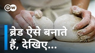 कैसे बनती है ब्रेड Making Bread [upl. by Enneillij]