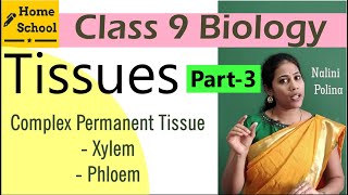 How to Draw Areolar Tissue Diagram  Diagram of Areolar Tissue in Simple amp Easy Way  Areolar Tissue [upl. by Pros]