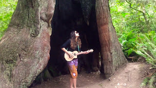 Performing in a burnt Redwood Tree [upl. by Aimit492]