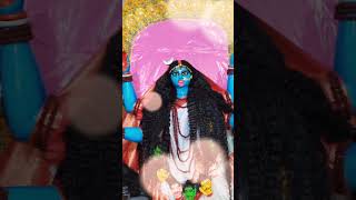 🌺Shubh Deepavali shubhechha🙏।youtubeshorts subscribe followers highligts shareshort [upl. by Oneladgam558]