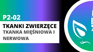 P202 Tkanki zwierzęce  tkanka mięśniowa i nerwowa [upl. by Yerffoj851]