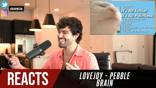 Producer Reacts to LOVEJOY  Pebble Brain reupload [upl. by Melliw]