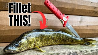 How to Fillet ANY Fish SIMPLEST Method for BEGINNERS [upl. by Atahs866]