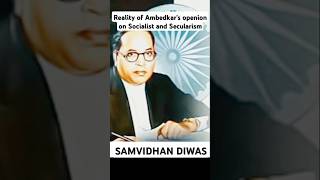 Ambedkars Vision for Socialist and Secular in Preamble shorts SamvidhanDivas [upl. by Frohman325]