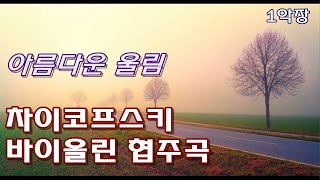 차이코프스키  바이올린 협주곡 1악장 세계4대 바이올린 협주곡 Tchaikovsky  Violin Concerto in D Major Op 35 [upl. by Arv334]