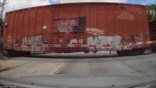 CSX train through Bayard St crossing in Baltimore [upl. by Dillon]