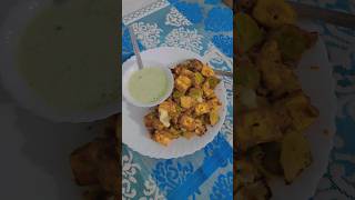 Agaro regency Air fryer  paneer tikka shorts yt paneer tikka [upl. by Nnaillij]