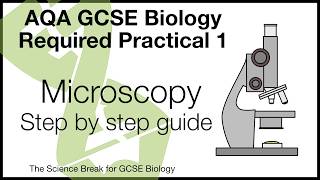 AQA Biology Practical 1 Microscopy Walkthrough  Full Method  Exam Help [upl. by Adnicul901]