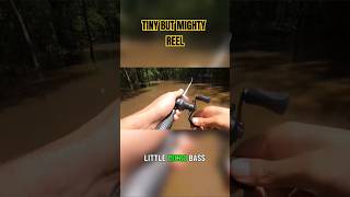 Profishiency TINY BUT MIGHTY REEL fishing bassfishing youtubehighfive fishingvideo fishinglife [upl. by Oidacra]