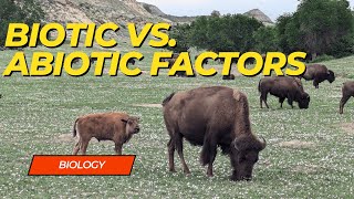 Biotic vs Abiotic Factors [upl. by Nalyac]