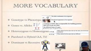 Genetics Vocabulary Tutorial [upl. by Eahsed]