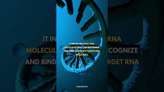 What is RNA Interference  biology science genetics rna dna [upl. by Agace553]