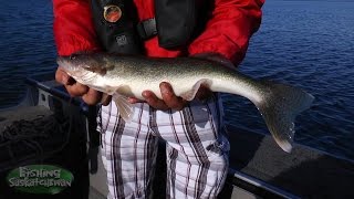 Late Spring Walleye on Lake Diefenbaker on Fishing Saskatchewan [upl. by Nawuq159]