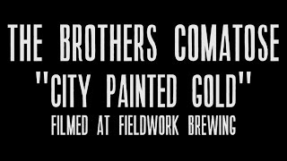 The Brothers Comatose feat T Sisters  City Painted Gold Live [upl. by Accalia739]