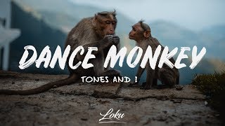 Tones And I  Dance Monkey Lyrics [upl. by Yarb]