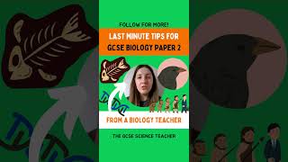 Biology Paper 2 Tips You can do it 👊🍀 [upl. by Aneej]