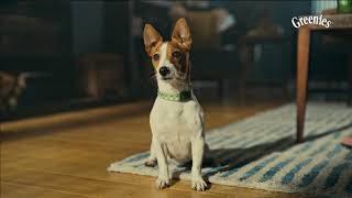 Greenies Dental Treats for Dogs  Keep Your Pup’s Teeth Clean amp Healthy  TV Commercial greenies [upl. by Ecyaj]