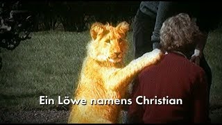 Ein Löwe namens Christian Lion Doku Deutsche Version  2009 [upl. by Averi]