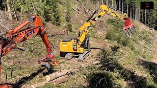 CAT 323F in der Windwurfaufarbeitung  2  Fiat Hitachi 215W amp Woody60  Stihl MS 462 [upl. by Mccandless]