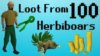 OSRS LOOT From 100 Herbiboars 99 Hunter99 Herblore [upl. by Airekahs]