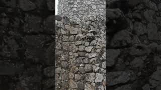 Explore Moors Castle in 100 Seconds  Sintra’s Ancient Fortress [upl. by Eceinert]