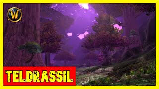 WoW Classic  Teldrassil Music [upl. by Millur]