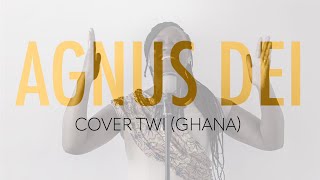 Agnus Dei coverTwi Ghana [upl. by Braun557]