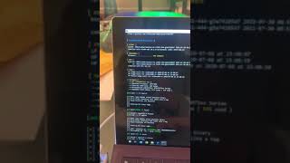 Proxmark3 easy cloning RFID card demo 40 [upl. by Ruffo345]