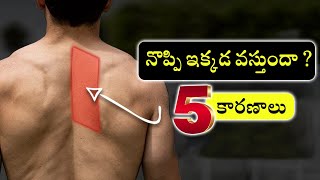 Pain between shoulder blades  Rhomboid pain  Telugu  Dr Ramprasad Kancherla [upl. by Donell]