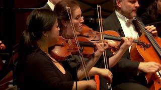 Haydn Symphony no 45 Farewell Symphony  Sinfonia Rotterdam Conrad van Alphen [upl. by Oscar]