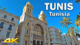 Tunis Centre Walking Tour  Tunisia【4K HD  60fps】🇹🇳 [upl. by Andromeda]