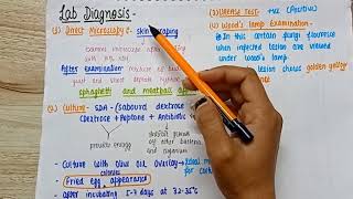 Superficial Mycosis dermatophyte mycology  types of superficial mycosis lab diagnosis [upl. by Pennie]