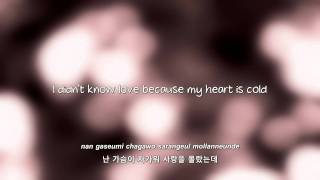 FT Island 사랑사랑사랑 Love Love Love lyrics Eng  Rom  Han [upl. by Annaiel910]