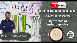 Synthesis of cephalosporins [upl. by Ayalat]