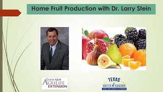 Home Fruit Production with Dr Larry Stein [upl. by Kokoruda]