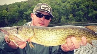 Outdoor Journal  Fishing for Chain Pickerel [upl. by Rheta]