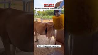 Dairy farming youtubeshorts facts motivation howtoachievesuccessinlife viralvideo trending [upl. by Joachim]