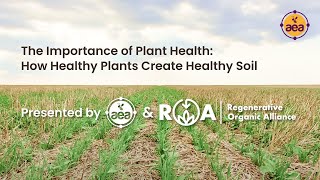 The Importance of Plant Health  How Healthy Plants Create Healthy Soil  AEA and ROA [upl. by Anna-Diane]