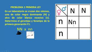 PROBLEMAS DE PRIMERA Y SEGUNDA LEY [upl. by Jerman]