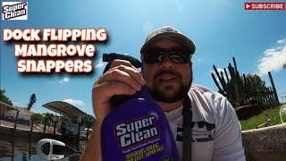 Dock Flipping Mangrove Snappers in Fort Myers How To Keep Your Boat Super Clean [upl. by Rodgiva]