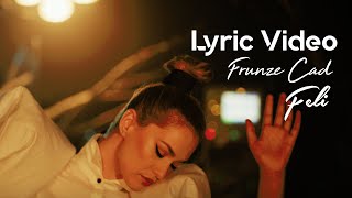 Feli  Frunze cad  Lyric Video [upl. by Halfon154]